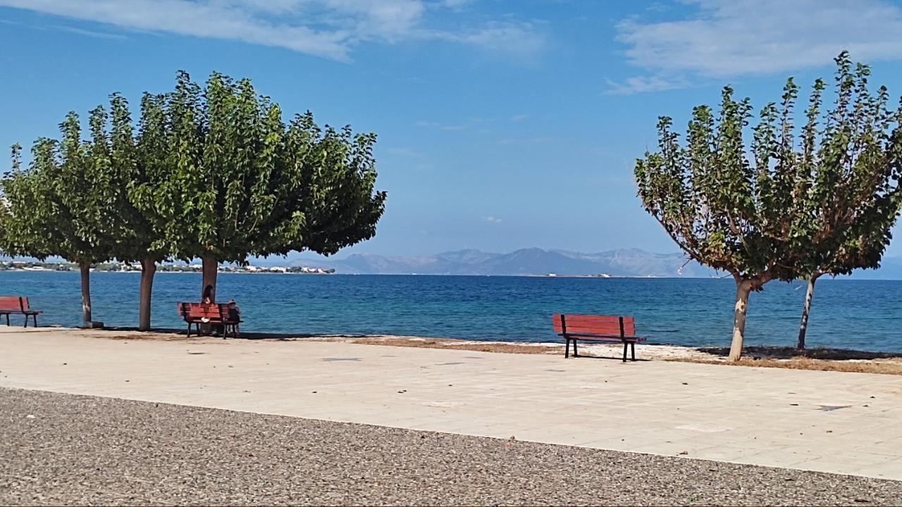 阿特米达Beautiful Choice - Near Athens Airport - 50M From The Sea - Iq+公寓 外观 照片
